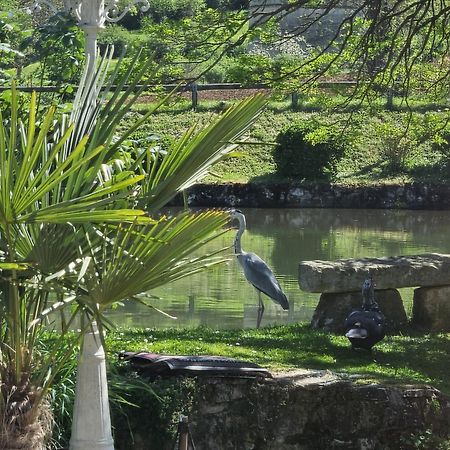 Coust Le Moulin De Meslon Bed & Breakfast エクステリア 写真