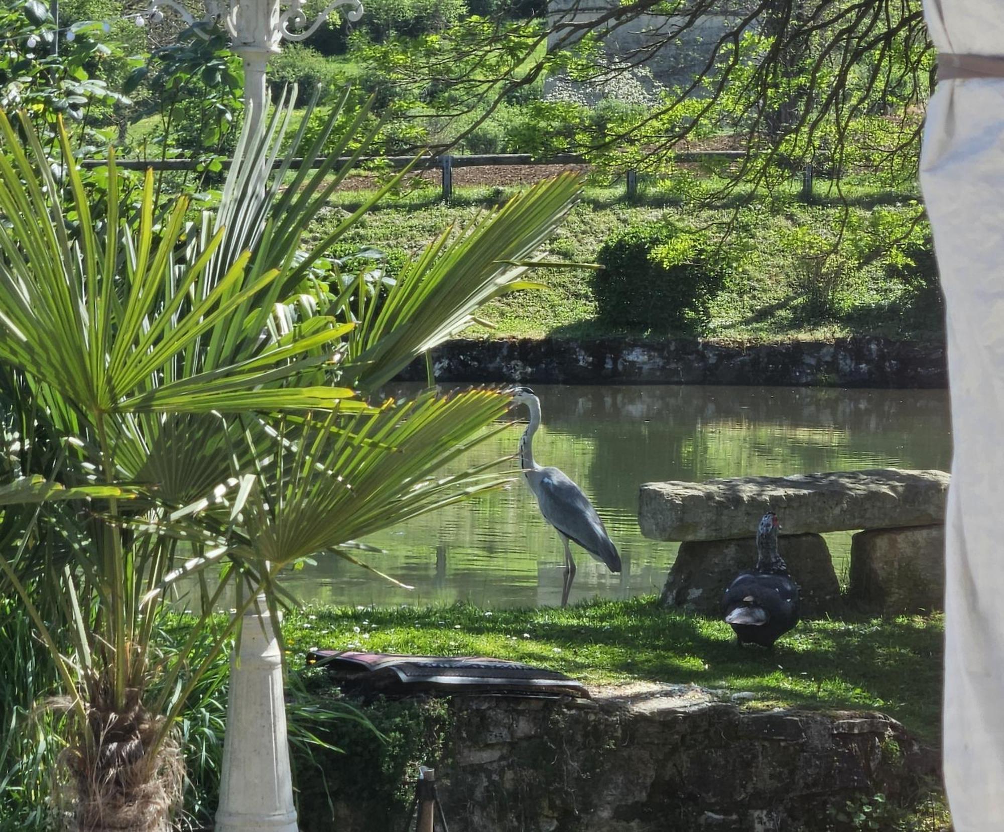 Coust Le Moulin De Meslon Bed & Breakfast エクステリア 写真