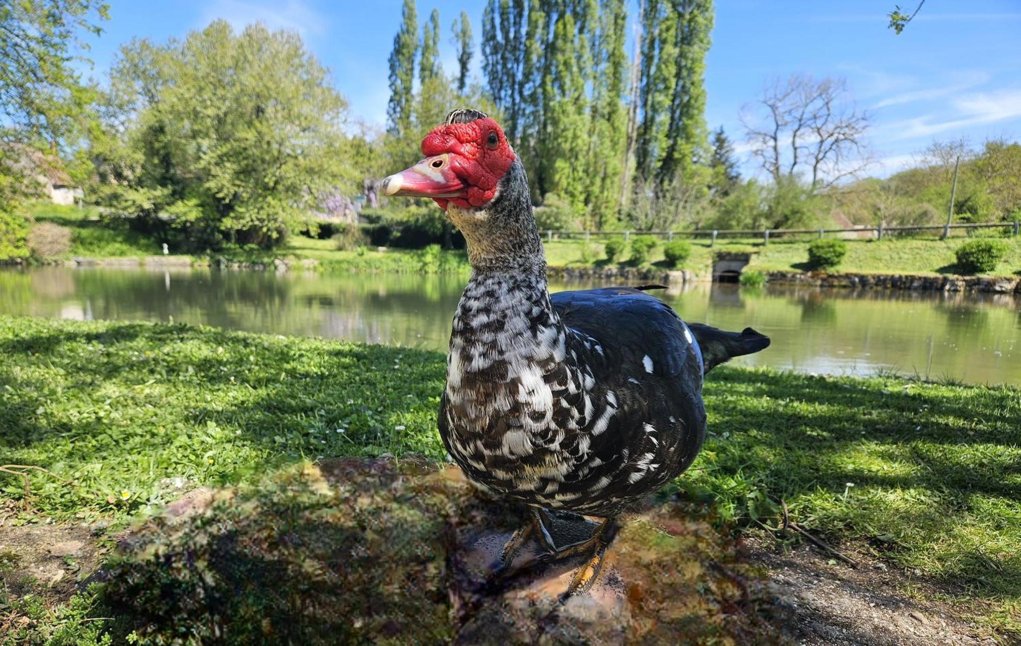 Coust Le Moulin De Meslon Bed & Breakfast エクステリア 写真